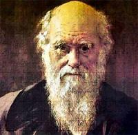 КОЕ-ЧТО О ДАРВИНИЗМЕ, ПСЕВДОДАРВИНИЗМЕ И АНТИДАРВИНИЗМЕ