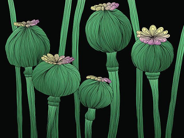 Почему не стоит спешить с легализацией наркотиков?