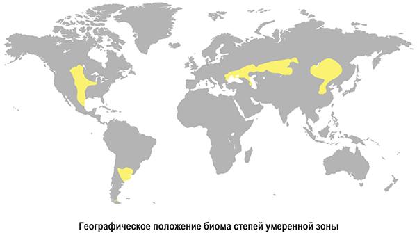 Загадочное слово степь (Часть 1)