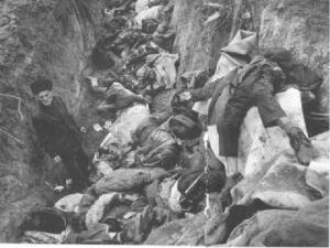 Мустафа Эдильбиев,