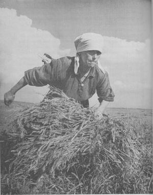 Ук­ра­ин­цы и 